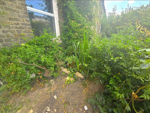 Photo 12- click for photo gallery